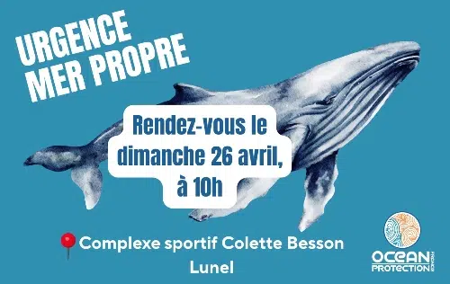 2d1e25d2-7cdf-40fe-bd99-760092a9504f