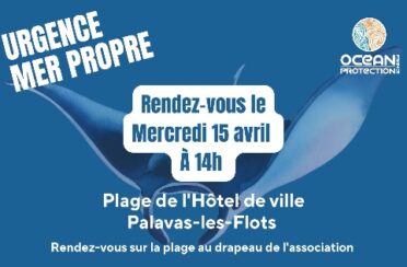 b7a8c12b-9664-4df1-aed3-e7bdea75c003