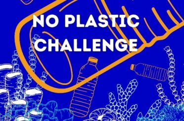 No-Plastic-Challenge