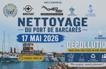 PortBacares