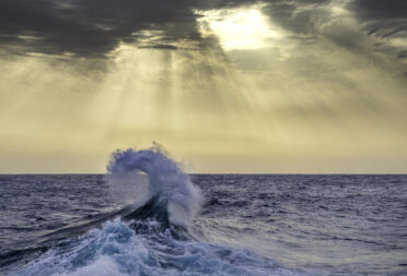OceanImageBank_KurtArrigo_05 (2) (1)