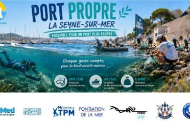 MS83-Flyer-OP