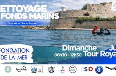 MS83-Flyer-OP-juin